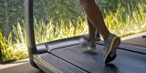 Top 5 Best Treadmills for Home Workouts in 2026